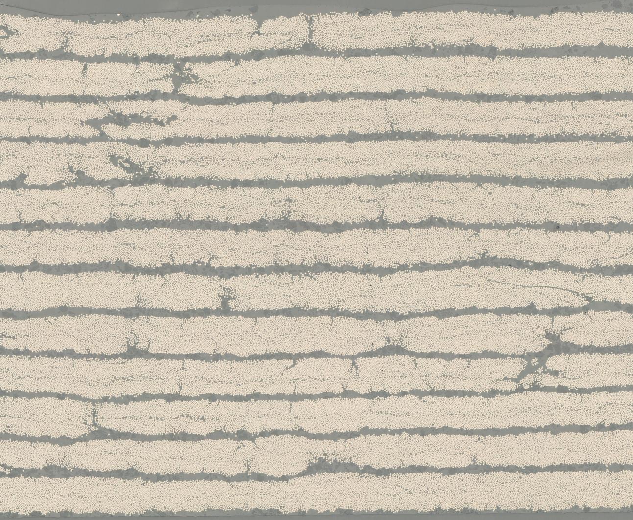 aniform-multi-ply-forming Diagram