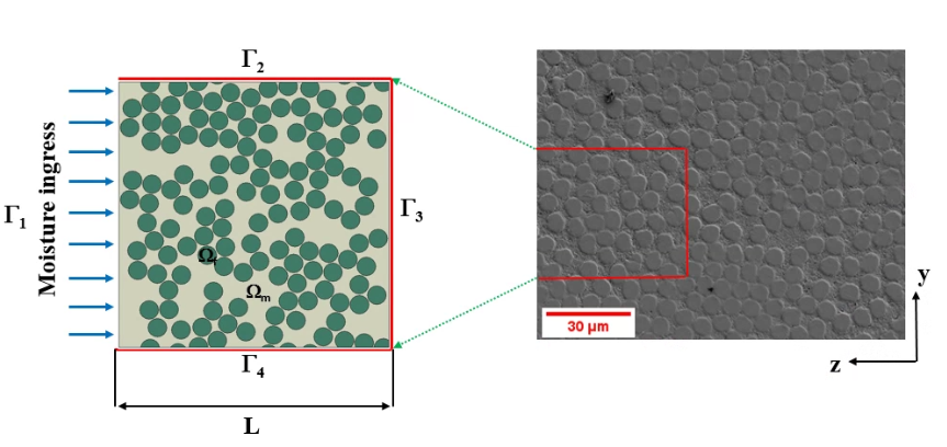 moisture-diffusion-composite-ansys Diagram