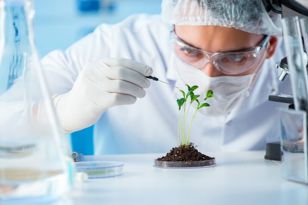 Tissue culture biotech projects Bangalore