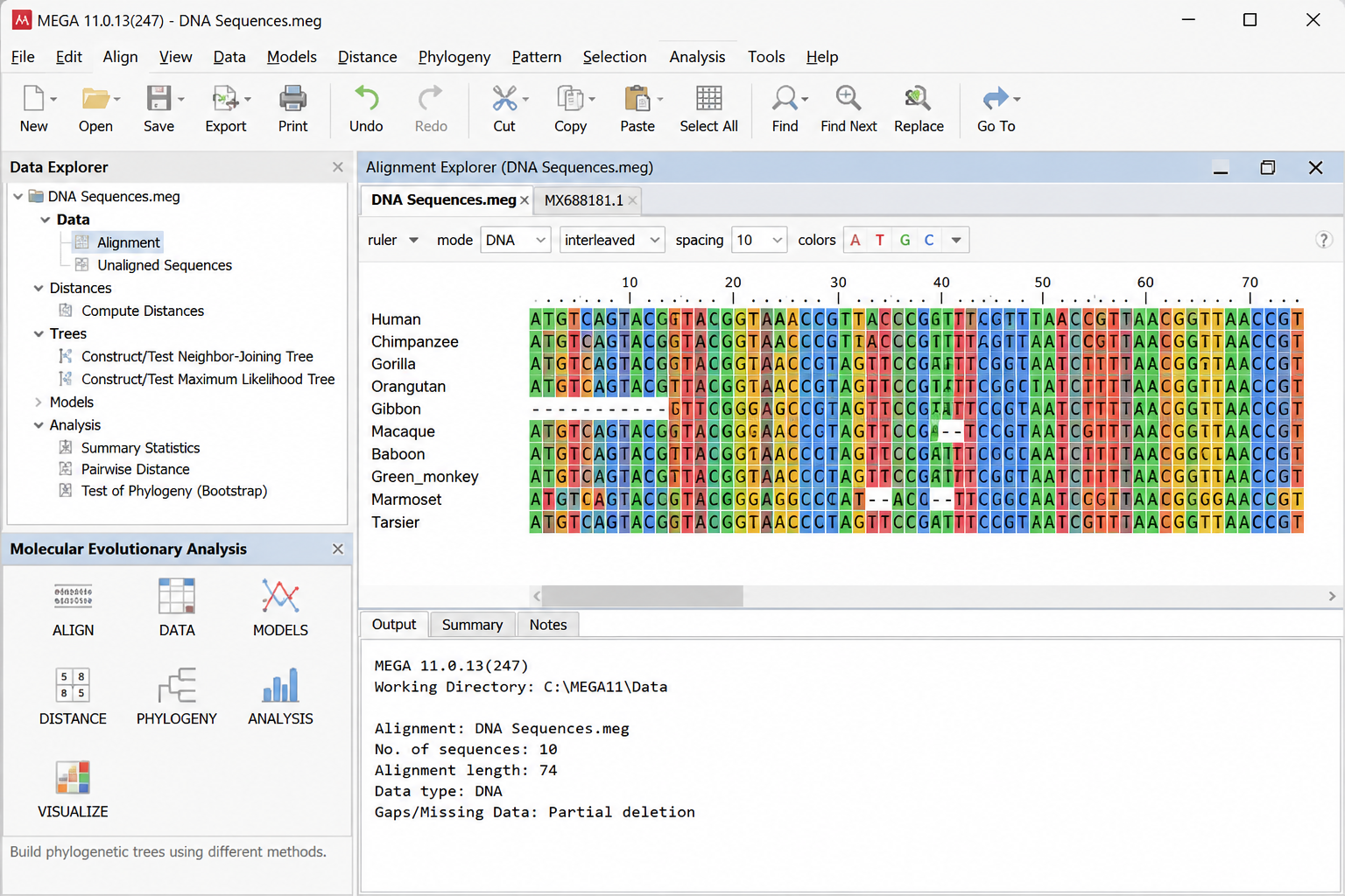 biotechnology projects on Mega tool