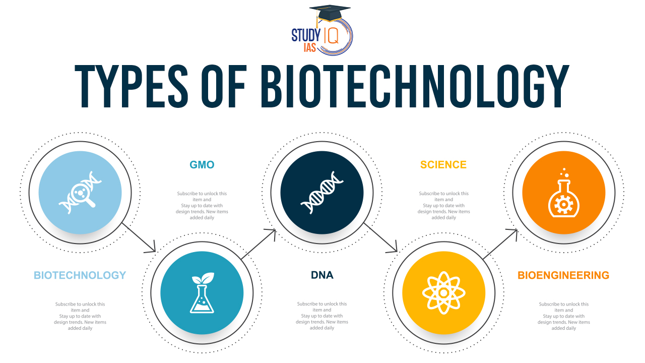 Fermentation bioreactor biotechnology projects