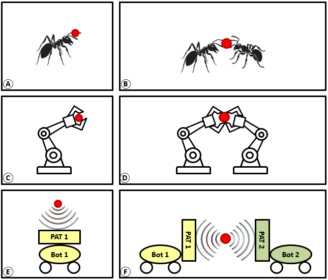 collective-transport-robots Diagram