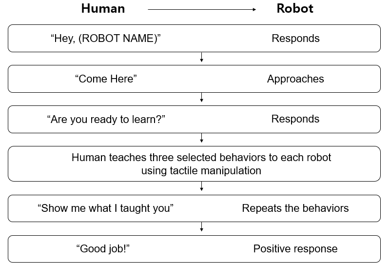 companion-robot-project Diagram