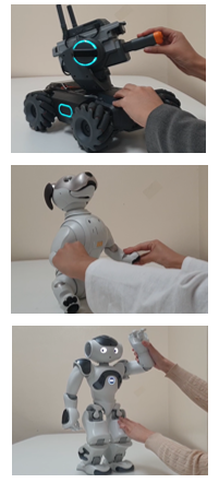 companion-robot-project Diagram
