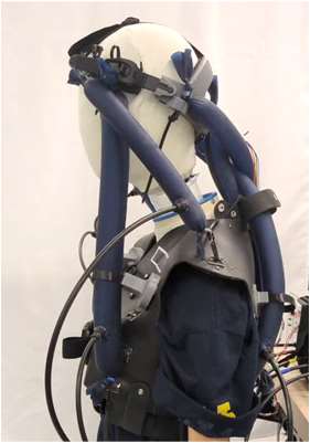 pneumatic-artificial-muscle-robot Diagram