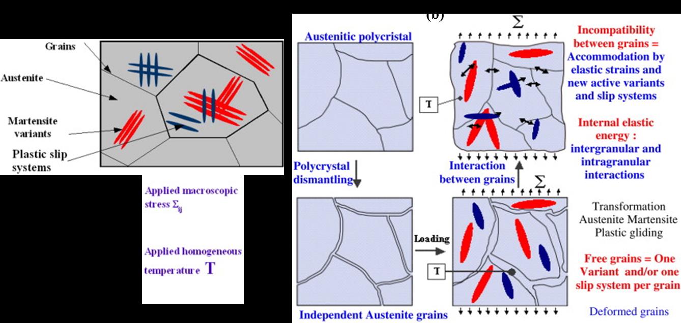 shape-memory-alloy-robot Diagram