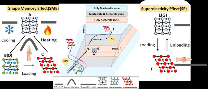 shape-memory-alloy-robot Diagram
