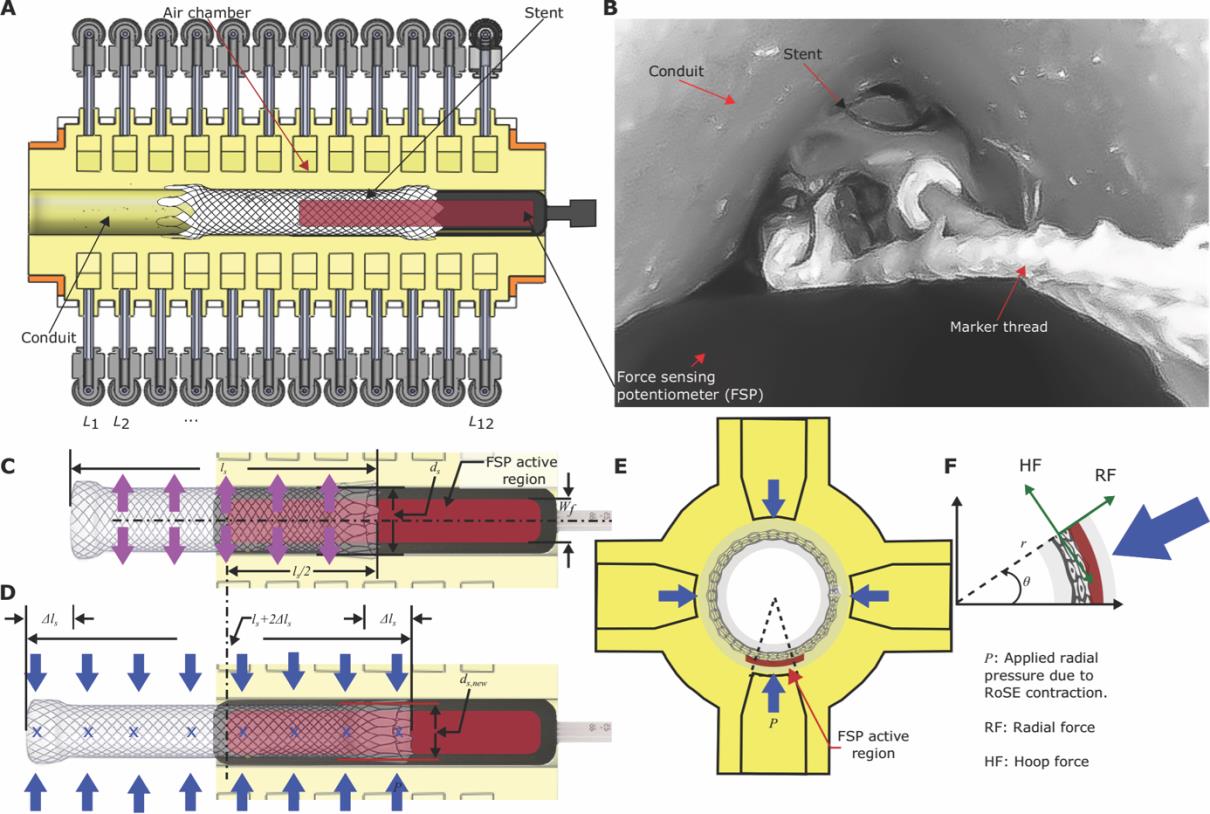 soft-gripper-robotics Diagram