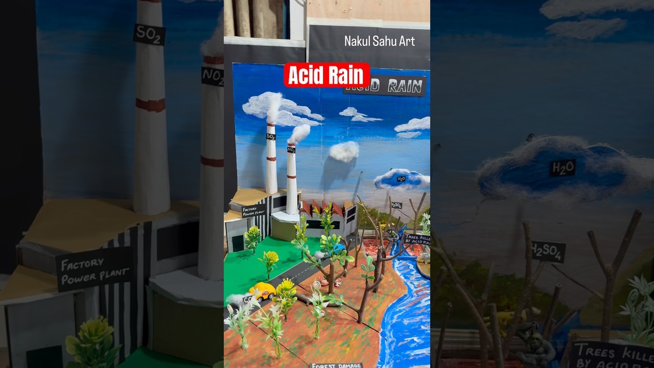 Figure 3: Working Model Setup, Scientific Diagram & Project Prototype for Acid Rain Working Model