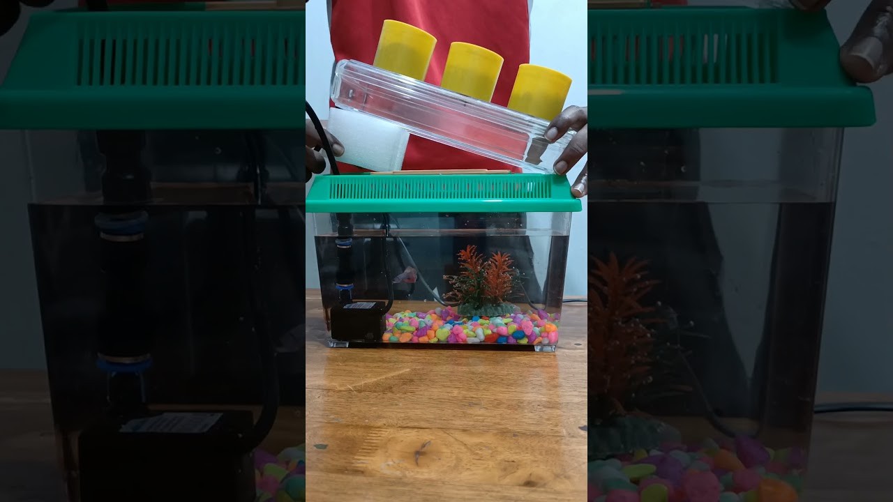 Figure 2: Working Model Setup, Scientific Diagram & Project Prototype for Aquaponics Working Model For Science Exhibition