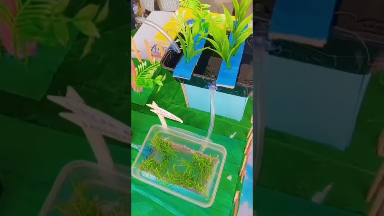 Figure 3: Working Model Setup, Scientific Diagram & Project Prototype for Aquaponics Working Model For Science Exhibition