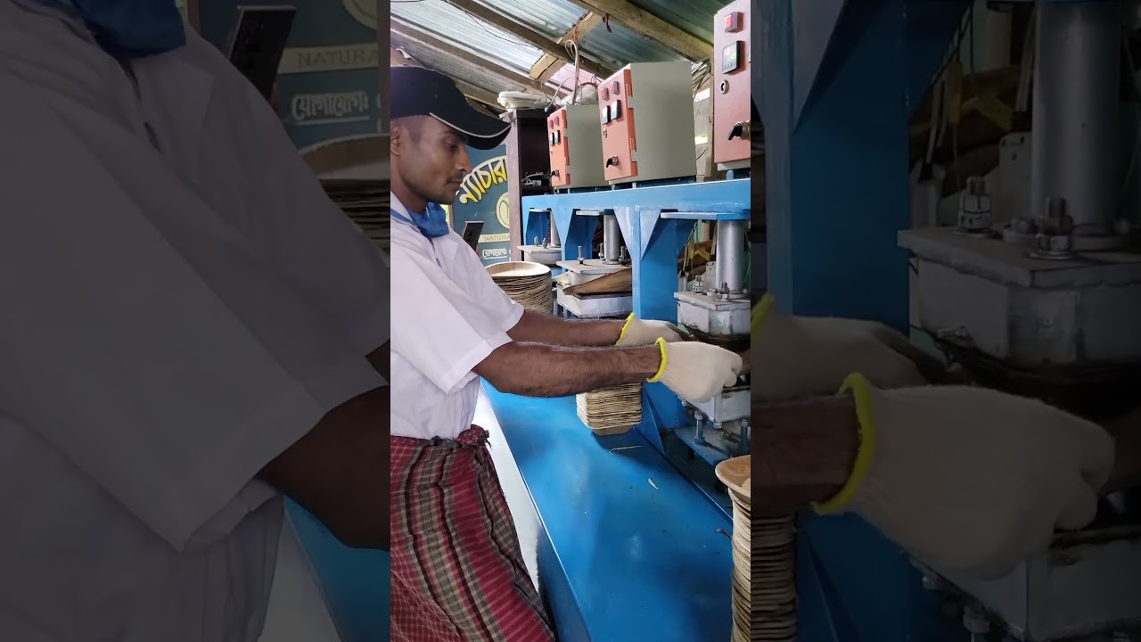 Figure 1: Working Model Setup, Scientific Diagram & Project Prototype for Areca Nut Sheath Plate Manufacturing Heated Die Model