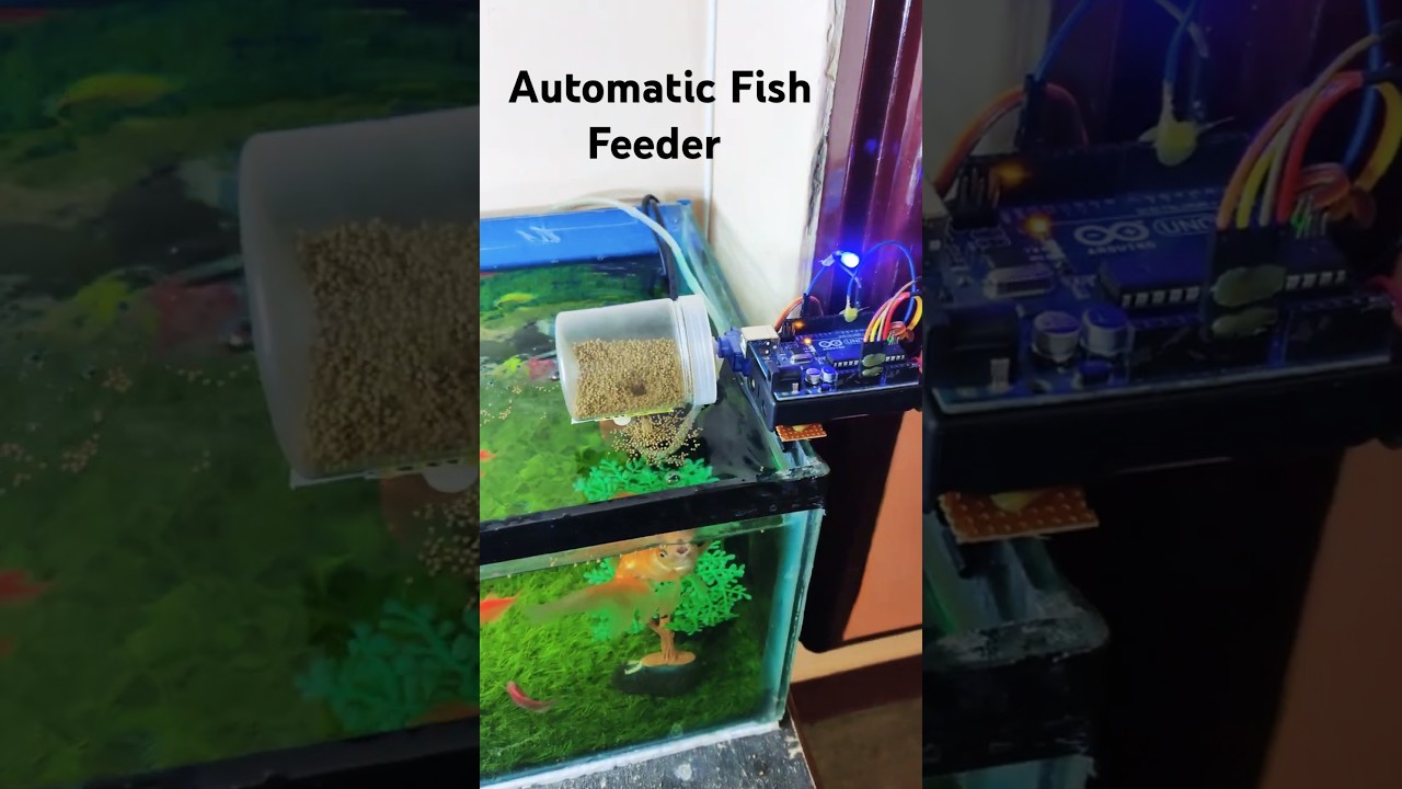 Figure 3: Working Model Setup, Scientific Diagram & Project Prototype for Automated Fish Pond Floating Pellet Scatter Dispenser