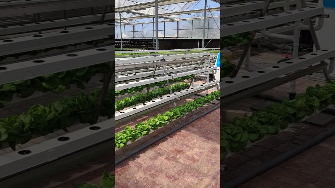 Figure 2: Working Model Setup, Scientific Diagram & Project Prototype for Automated Nutrient Film Technique Hydroponic Rig