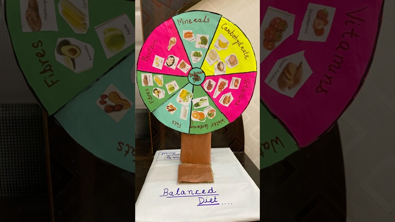 Figure 1: Working Model Setup, Scientific Diagram & Project Prototype for Balanced Diet Working Model Chart With Lights
