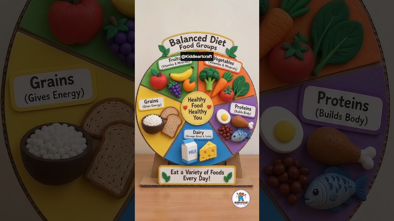 Figure 4: Working Model Setup, Scientific Diagram & Project Prototype for Balanced Diet Working Model Chart With Lights