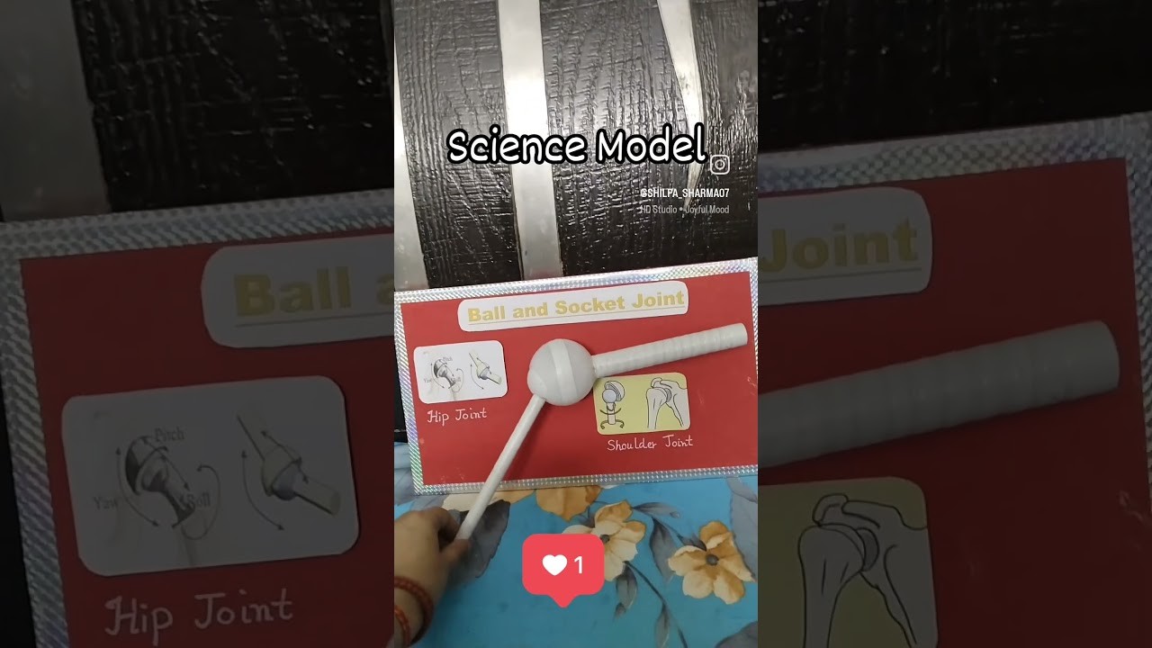 Figure 1: Working Model Setup, Scientific Diagram & Project Prototype for Ball And Socket Shoulder Joint Range Of Motion Model