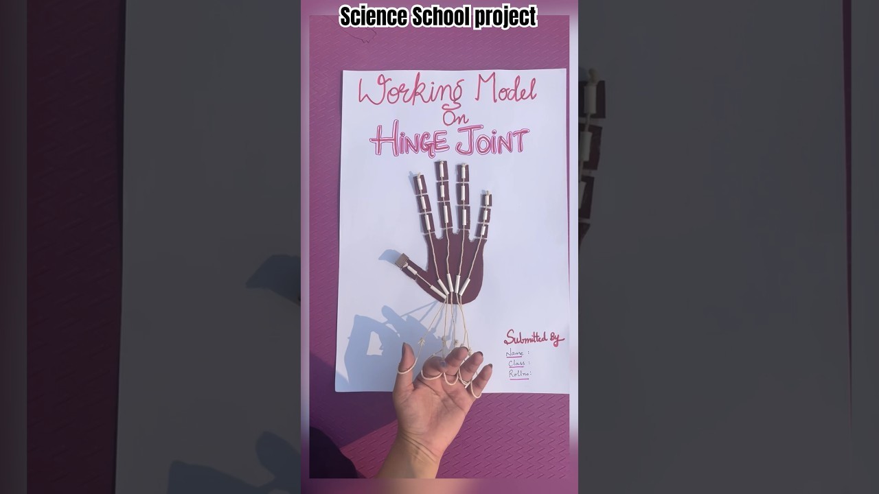 Figure 4: Working Model Setup, Scientific Diagram & Project Prototype for Ball And Socket Shoulder Joint Range Of Motion Model