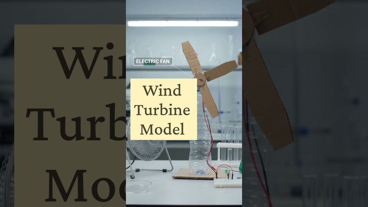 Figure 4: Working Model Setup, Scientific Diagram & Project Prototype for Best Working Model Science Exhibition Award Winning
