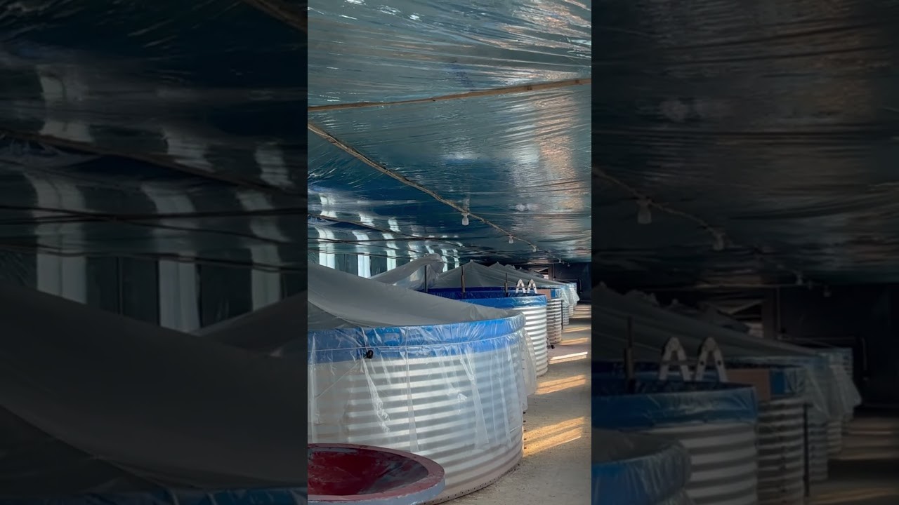Figure 1: Working Model Setup, Scientific Diagram & Project Prototype for Bio Floc Shrimp Farming Suspended Microbial Protein Tank