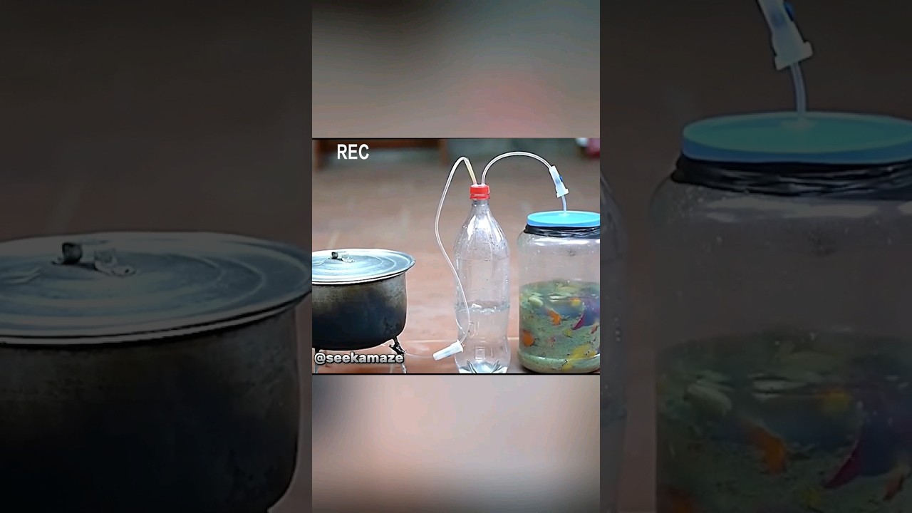 Figure 4: Working Model Setup, Scientific Diagram & Project Prototype for Biogas Production From Kitchen Waste Working Model