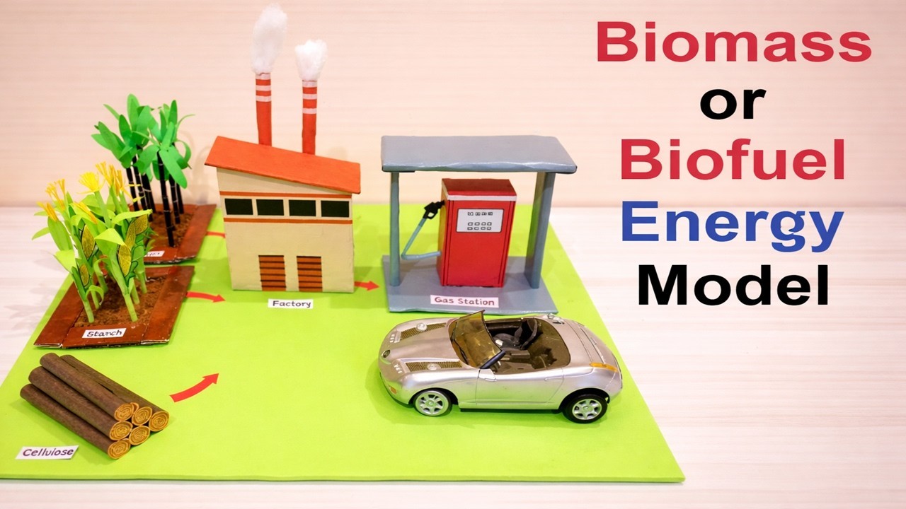 Figure 4: Working Model Setup, Scientific Diagram & Project Prototype for Biomass Plant Working Model