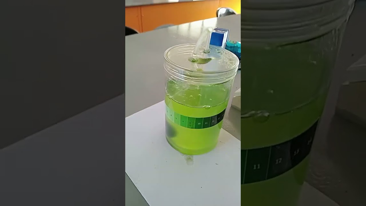 Figure 1: Working Model Setup, Scientific Diagram & Project Prototype for Bioreactor Working Model Biotechnology