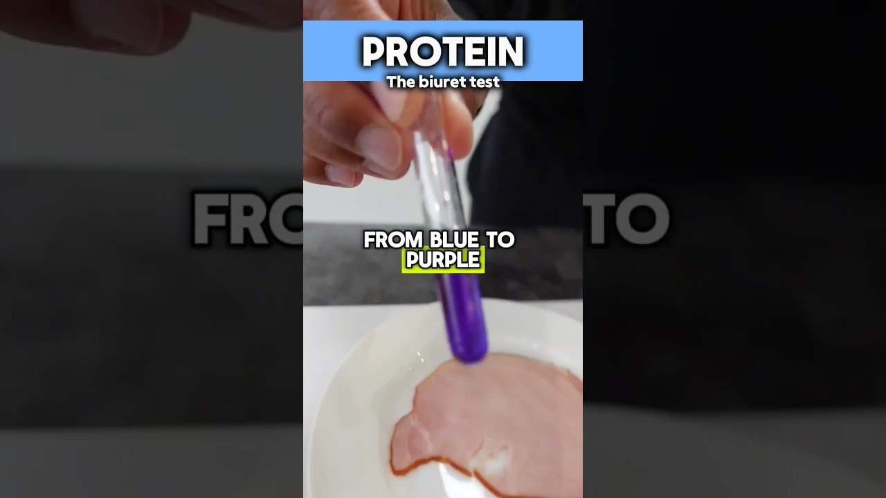 Figure 2: Working Model Setup, Scientific Diagram & Project Prototype for Biuret Test Protein Peptide Bond Violet Complex Model