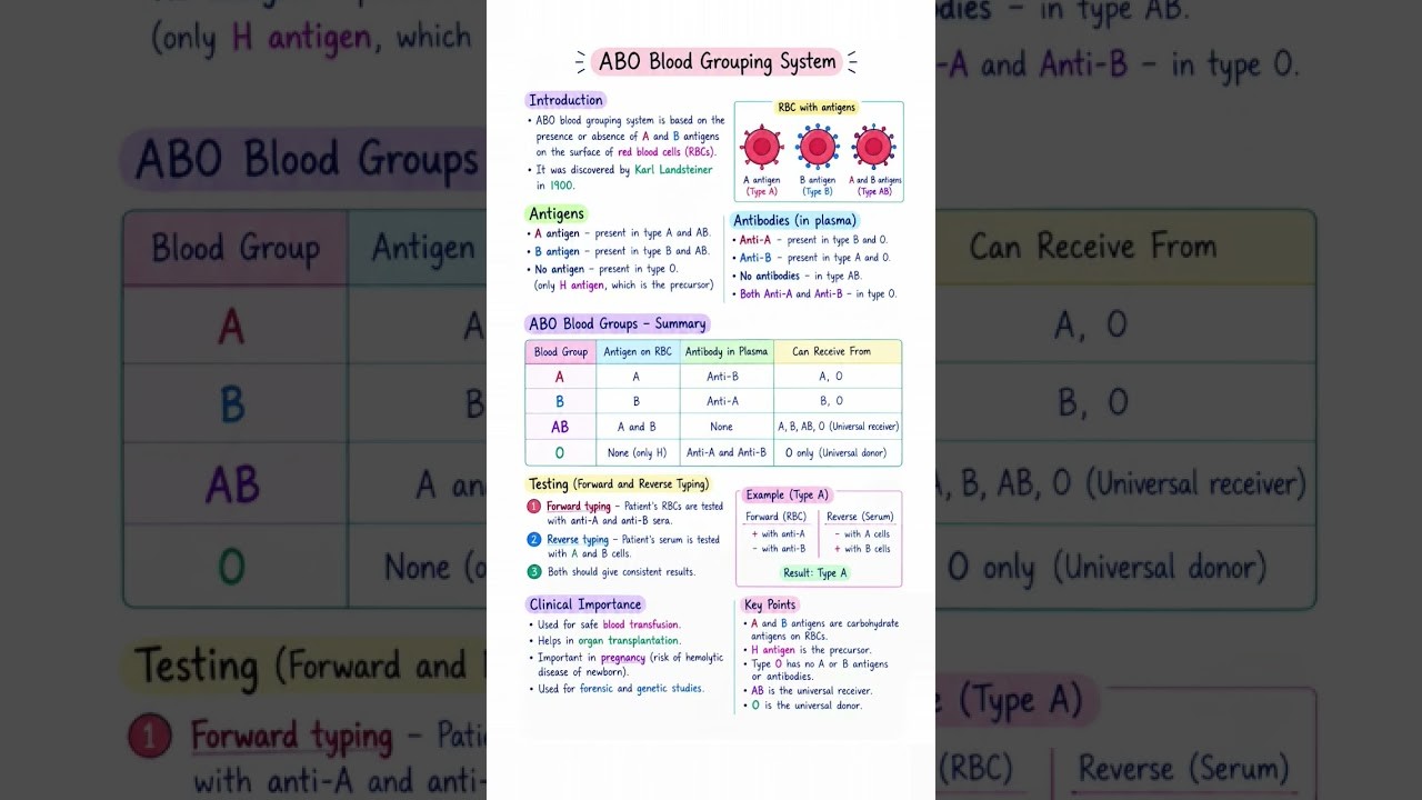 Figure 4: Working Model Setup, Scientific Diagram & Project Prototype for Blood Group Agglutination Synthetic Antigen Serum Model