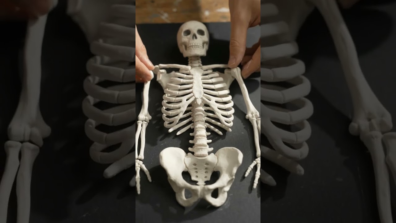 Figure 1: Working Model Setup, Scientific Diagram & Project Prototype for Bone Internal Trabeculae Spongy Compressive Strut Model