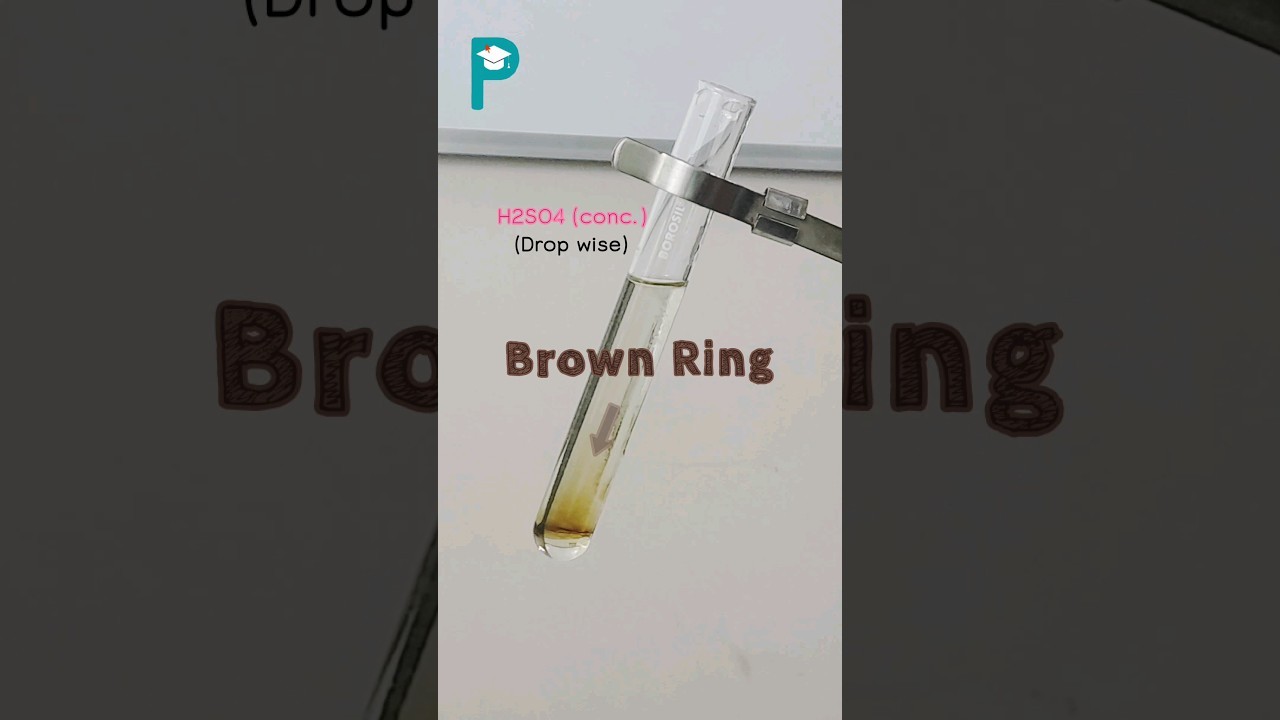 Figure 2: Working Model Setup, Scientific Diagram & Project Prototype for Brown Ring Test Nitrate Radical Identification Model