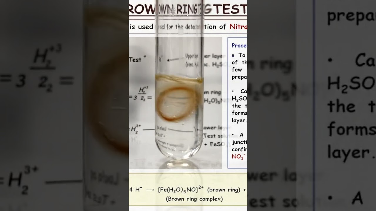 Figure 3: Working Model Setup, Scientific Diagram & Project Prototype for Brown Ring Test Nitrate Radical Identification Model