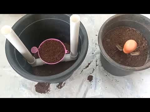 Figure 4: Working Model Setup, Scientific Diagram & Project Prototype for Capillary Wick Pot Self Watering Vegetable Planter