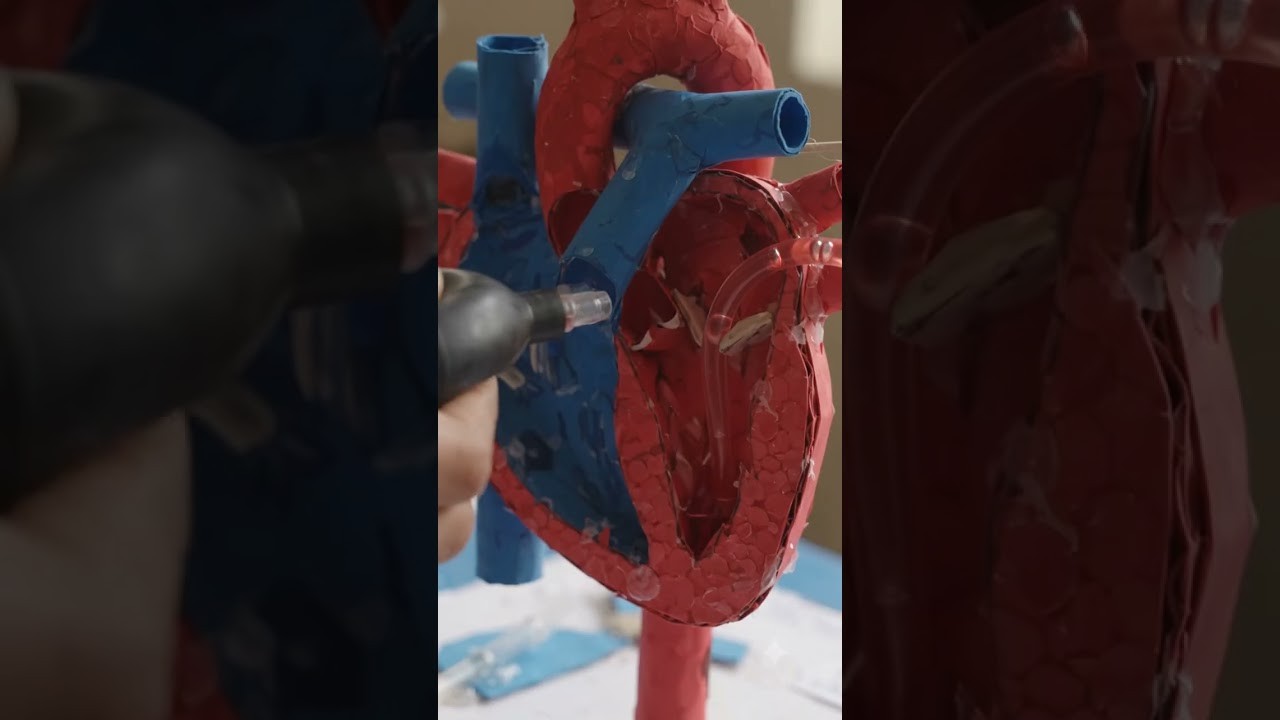 Figure 3: Working Model Setup, Scientific Diagram & Project Prototype for Cardiac Pacemaker Pulse Generator Simulation Model