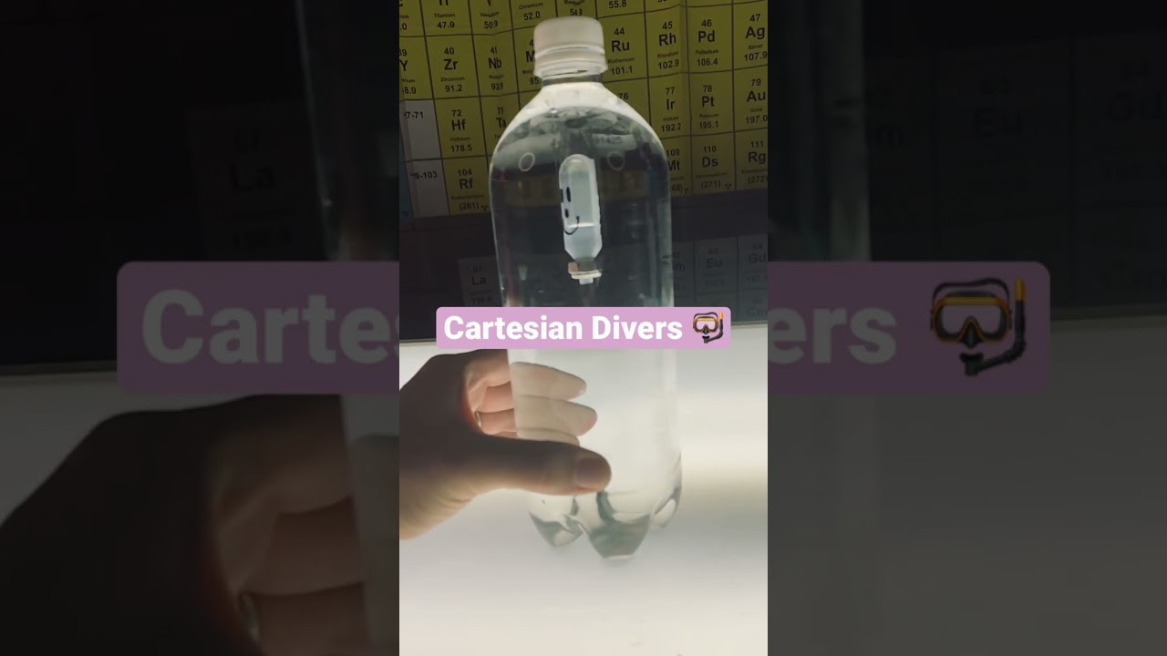 Figure 3: Working Model Setup, Scientific Diagram & Project Prototype for Cartesian Diver Buoyancy And Pressure Working Model