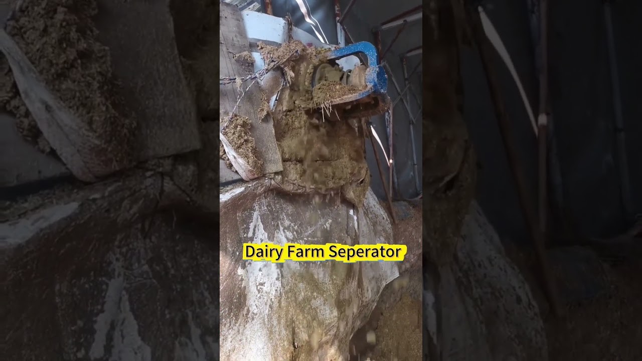Figure 3: Working Model Setup, Scientific Diagram & Project Prototype for Cattle Manure Slurry Separator Dewatering Auger Model