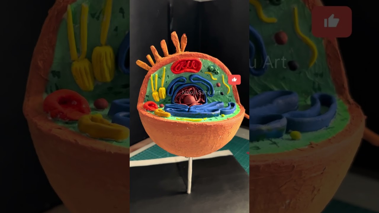 Figure 1: Working Model Setup, Scientific Diagram & Project Prototype for Cell Structure Working Model Plant And Animal Cell