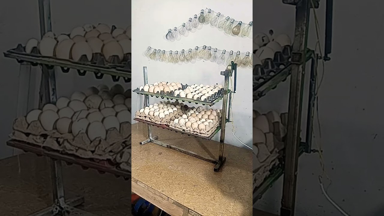 Figure 1: Working Model Setup, Scientific Diagram & Project Prototype for Chicken Egg Turning Automatic Incubator Tray Model