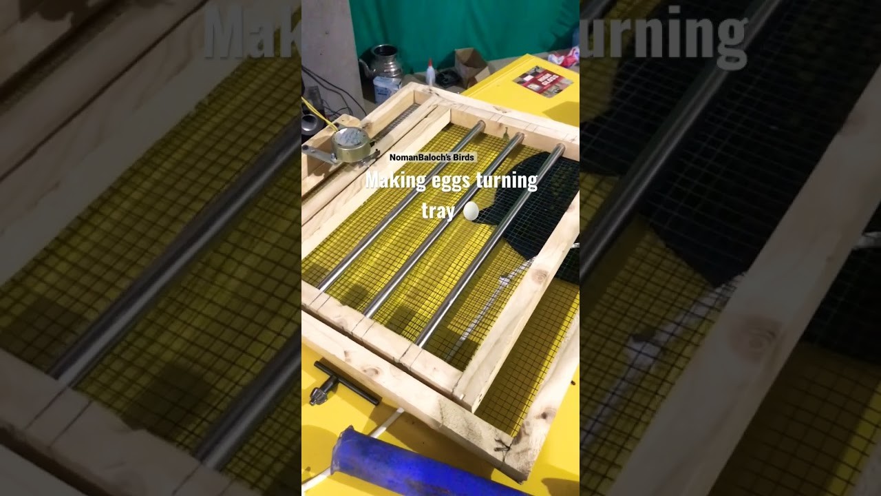 Figure 3: Working Model Setup, Scientific Diagram & Project Prototype for Chicken Egg Turning Automatic Incubator Tray Model