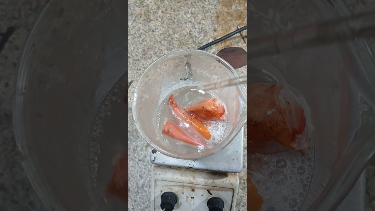 Figure 1: Working Model Setup, Scientific Diagram & Project Prototype for Chitosan Biodegradable Film From Prawn Shell Waste Model
