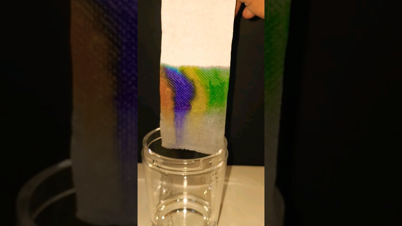 Figure 2: Working Model Setup, Scientific Diagram & Project Prototype for Chromatography Working Model Paper And Column