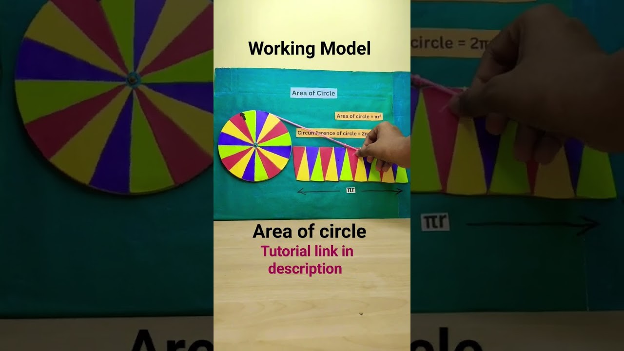 Figure 4: Working Model Setup, Scientific Diagram & Project Prototype for Circle Area Derivation Wedge Sectors Into Rectangle Model