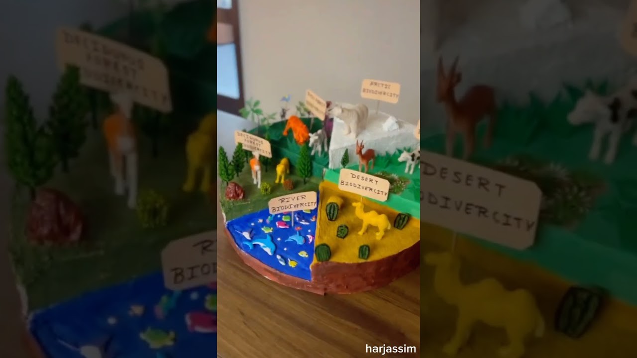 Figure 1: Working Model Setup, Scientific Diagram & Project Prototype for Classification Of Animals Working Model