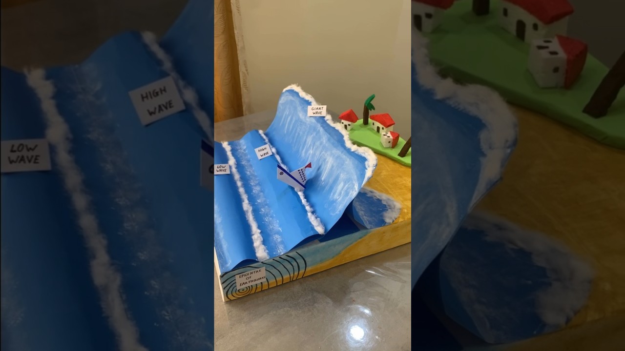 Figure 1: Working Model Setup, Scientific Diagram & Project Prototype for Coastal Tsunami Alert Deep Sea Pressure Buoy Model