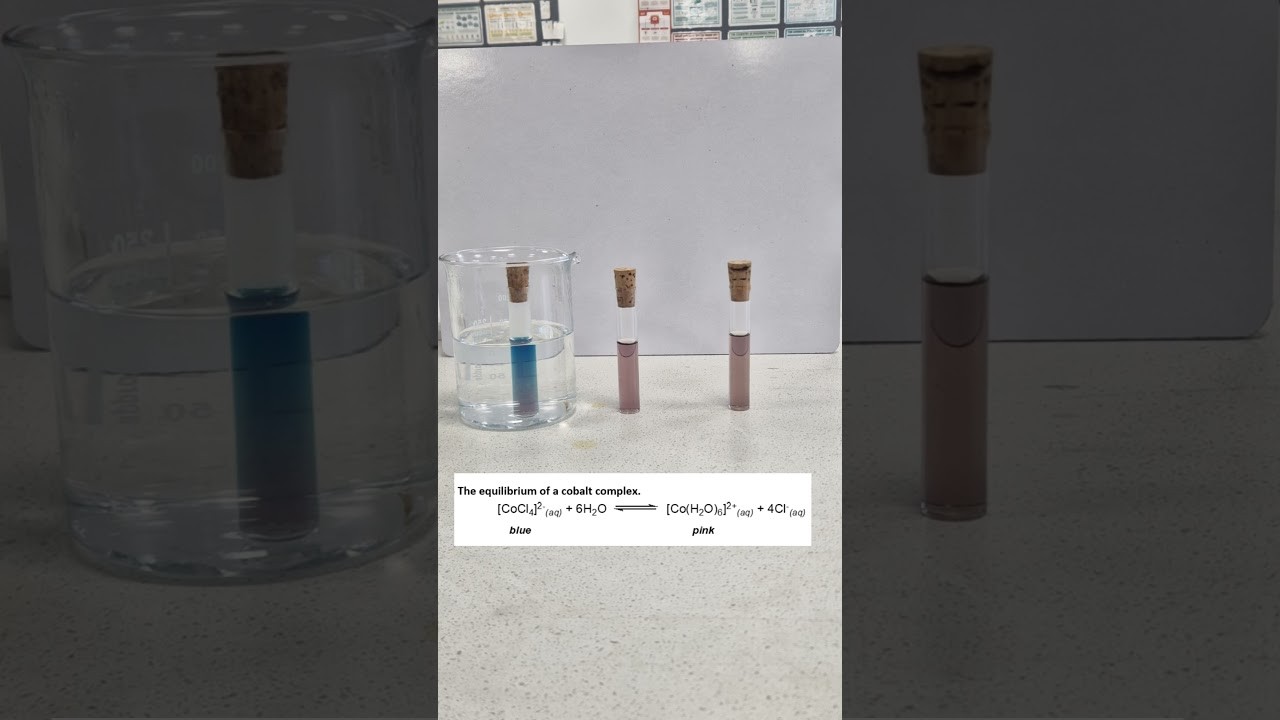 Figure 2: Working Model Setup, Scientific Diagram & Project Prototype for Cobalt Chloride Humidity Strip Equilibrium Shift Model