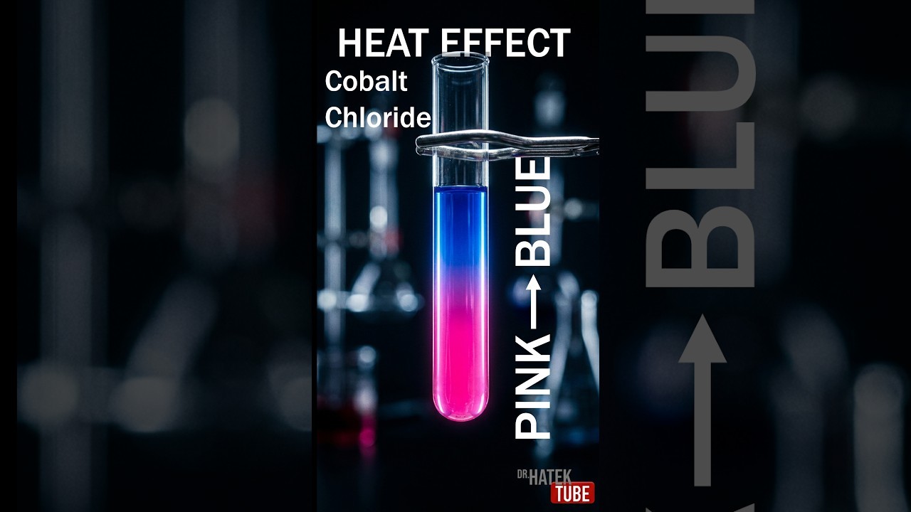 Figure 4: Working Model Setup, Scientific Diagram & Project Prototype for Cobalt Chloride Humidity Strip Equilibrium Shift Model