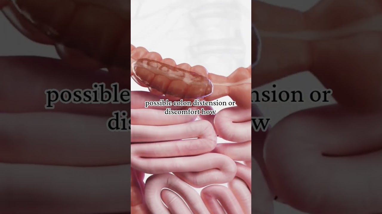 Figure 2: Working Model Setup, Scientific Diagram & Project Prototype for Colon Water Reabsorption And Constipation Model