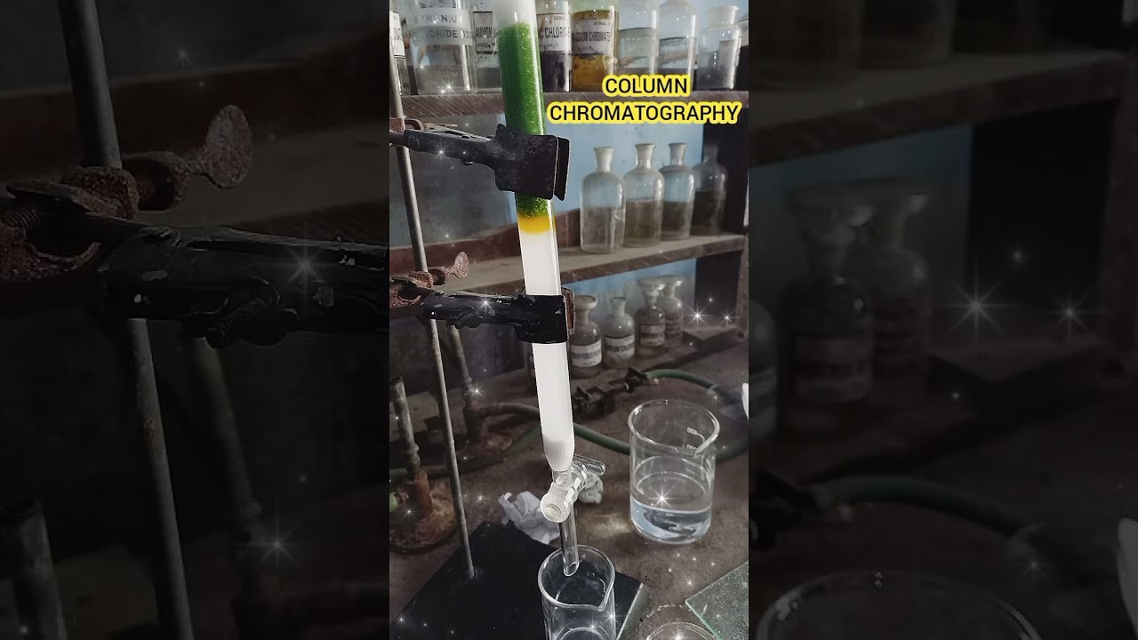 Figure 3: Working Model Setup, Scientific Diagram & Project Prototype for Column Chromatography Spinach Extract Separation Tube