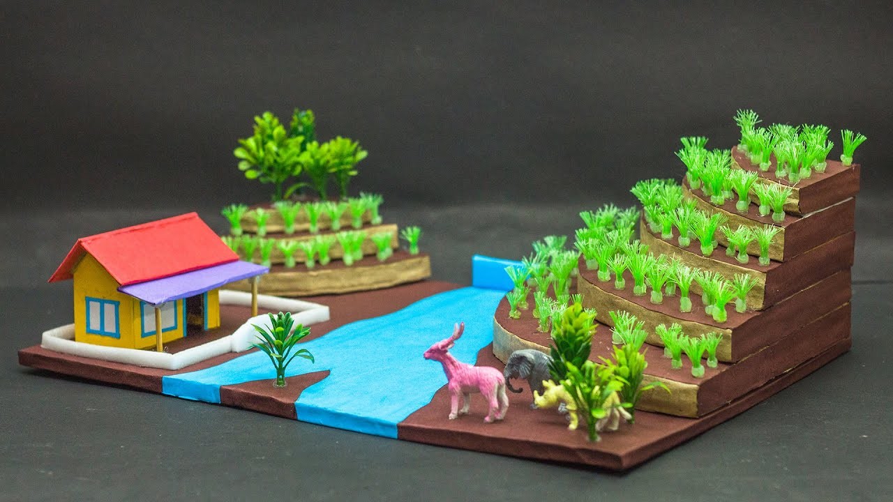 Figure 1: Working Model Setup, Scientific Diagram & Project Prototype for Contour Bunding And Terrace Farming Sloped Hillside Model