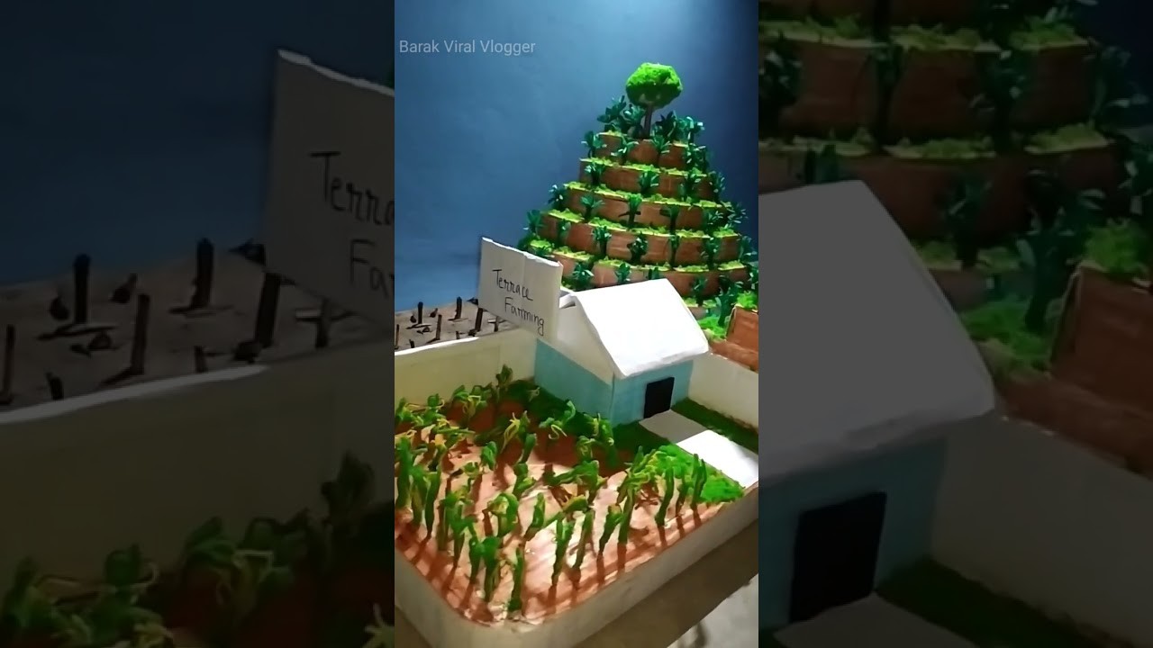 Figure 2: Working Model Setup, Scientific Diagram & Project Prototype for Contour Bunding And Terrace Farming Sloped Hillside Model